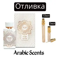 Casting | Zimaya Musk Is Great EDP