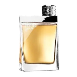 Ανδρικό άρωμα Armaf Excellus Men EDP 100 ml.