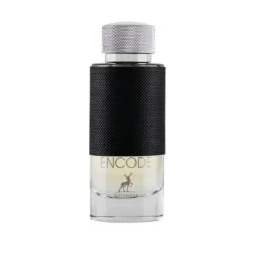 Ανδρικό άρωμα Maison Alhambra Encode EDP 100 ml.
